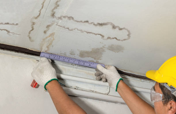Reliable Mold Remediation contractor in Port Monmouth, NJ by Water Damage Irwin